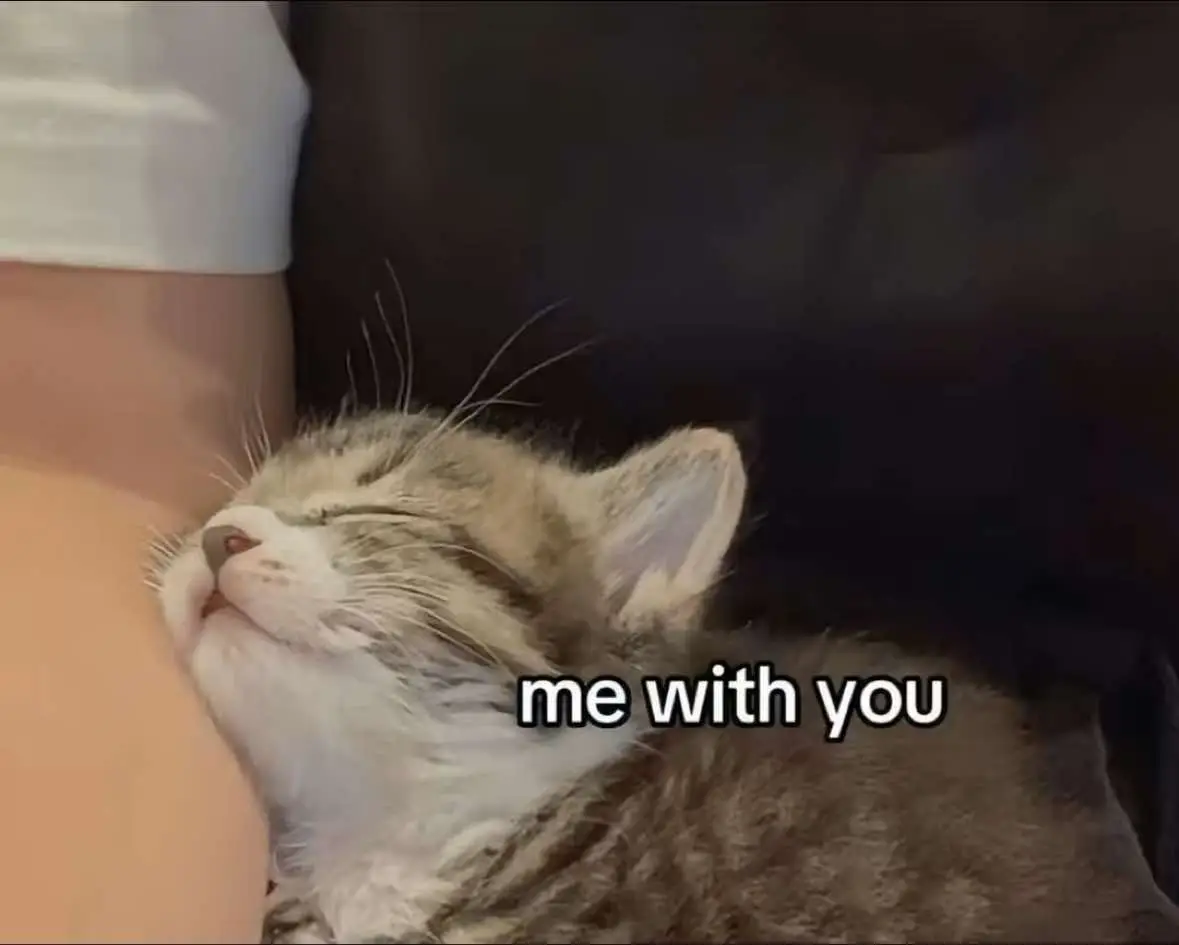 #fyp #viral #redthoughts #Love 