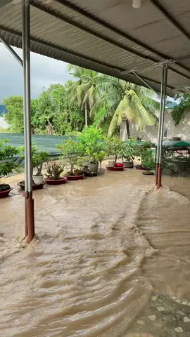 Nước siết dâng cao lắm luôn adidaphat😫#lụtmiềntrung #miềntrung #ngập 