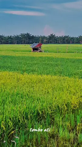 #gusiqdam#masjidagungdemak#menarakudus# bali#kalimantan#jogja