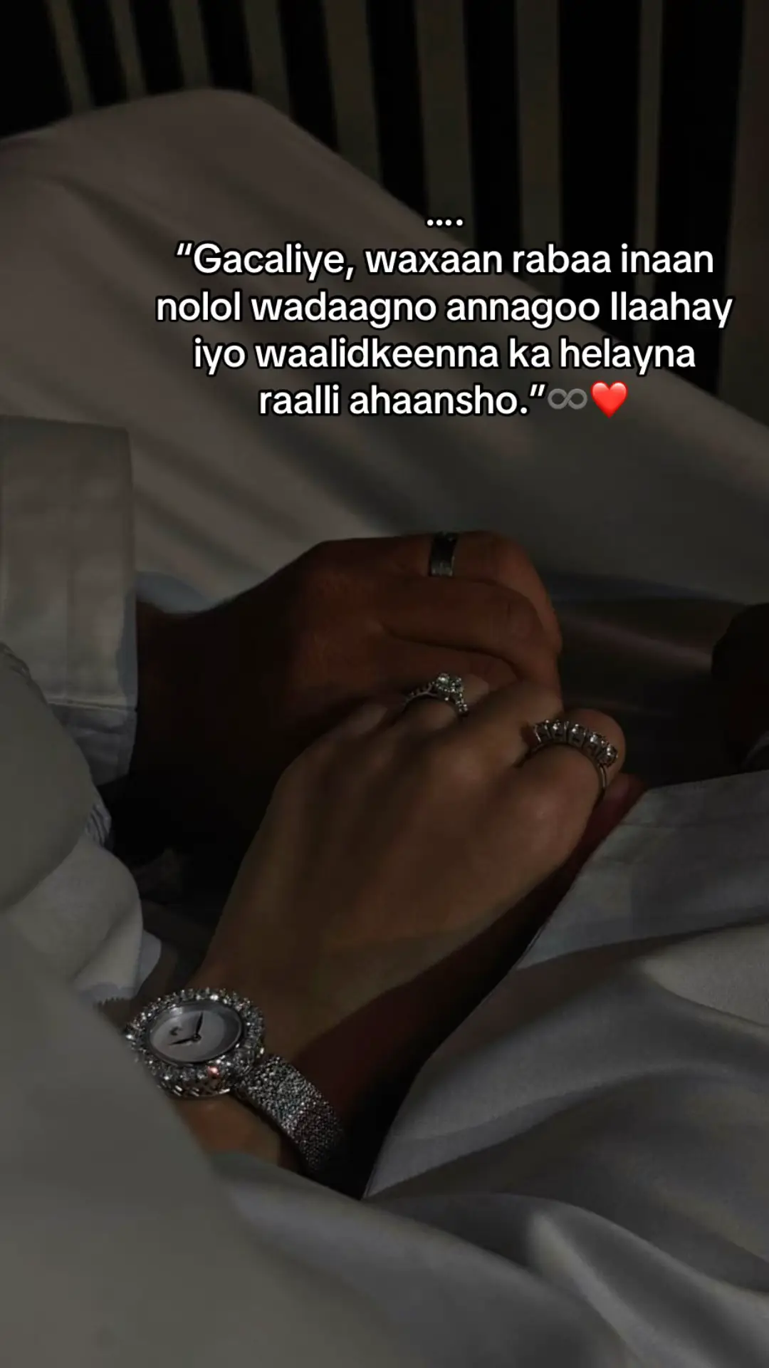 💍❤️#🌷🌷🌷🌷🌷🌷 #veiwsproblem #veiwsproblem💔😶 #saffa🦢♾️ #swan🥹🦢 