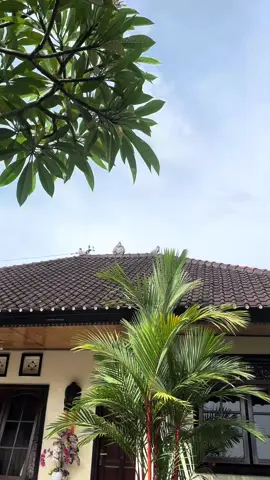 Gas wi rejuna#fypage#barongjengahlingsir #barongbangkung #barongjengah 