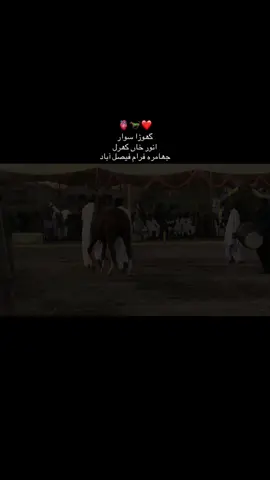 SHOUK_NAWABA_DA🐴🫀❤️ #foryoupage #foryoutrick  #fotyoupageofficial  #1mviews  🫀🐴❤️@❣️Hamza king❣️ @Shani king🔥❤️ @Ahmad gujjar 