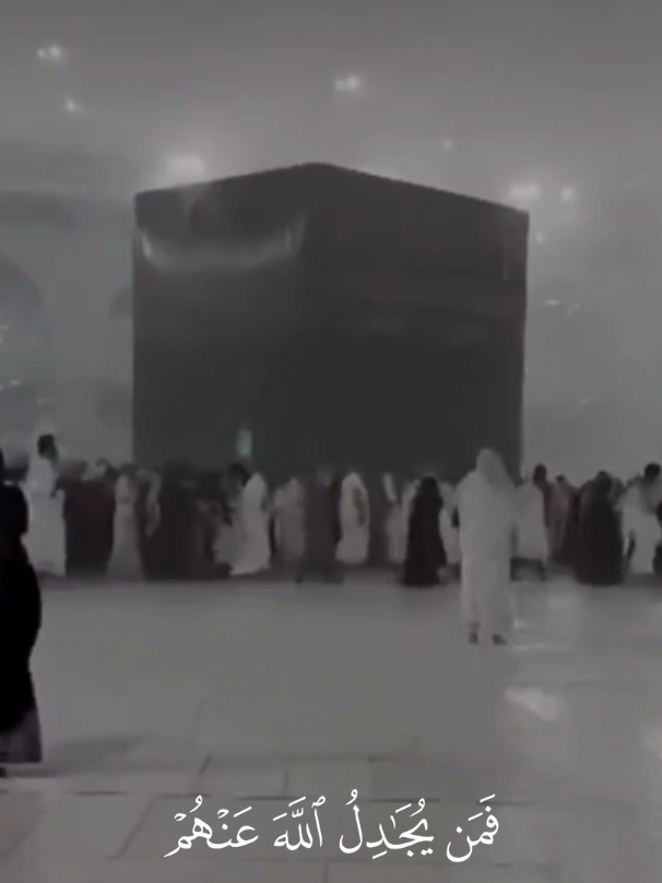 #صلي_على_محمد #ياسر_الدوسري #تلاوة_خاشعة #قران_كريم #fyp 