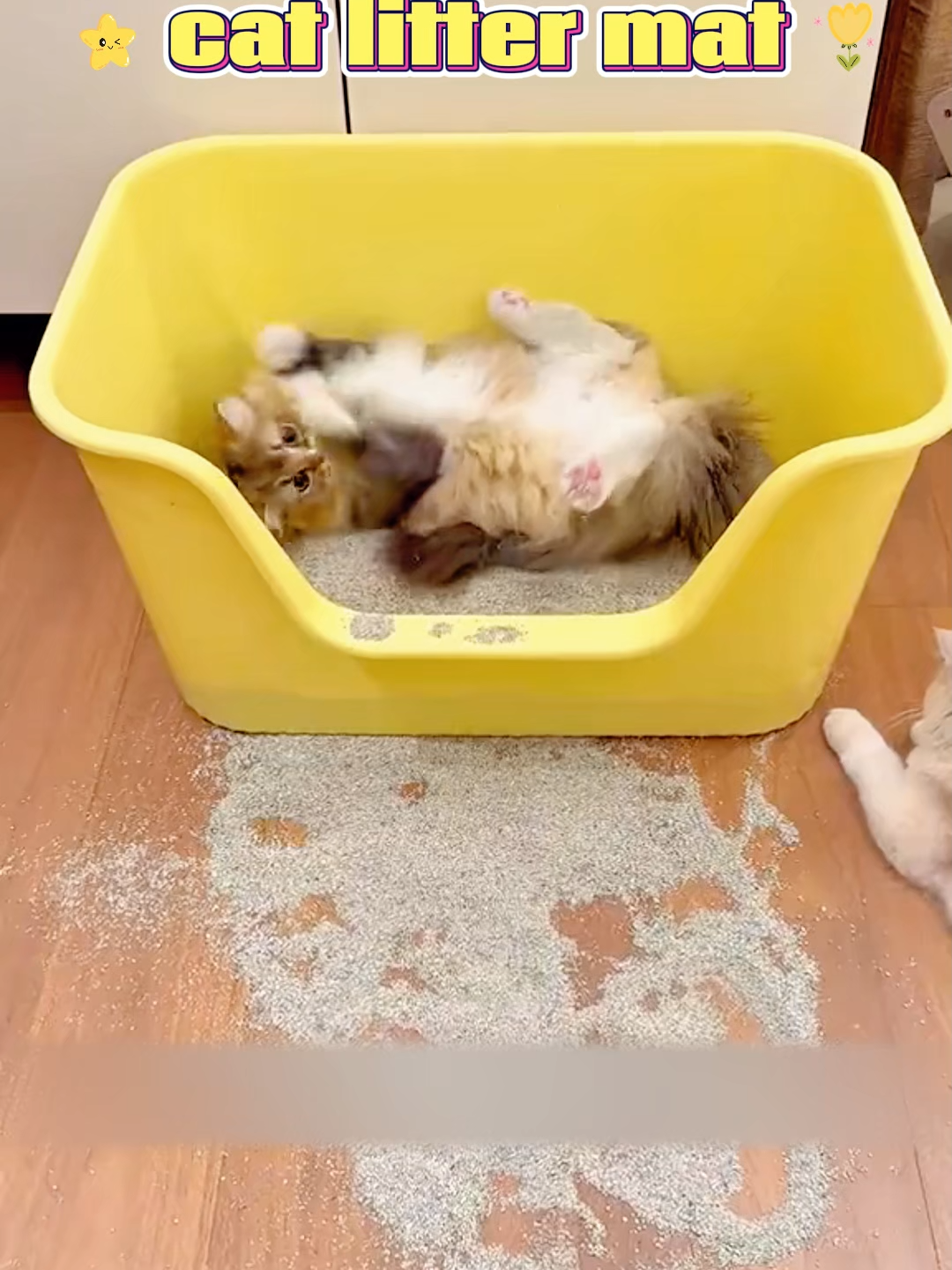 Makakapigil ang cat litter mat na ito sa pagdadala ng cat litter, kaya hindi mo na kailangang walisin ang cat litter araw-araw!#catlitter #cat #pet #fyp #lovecats #mat #catlittermat