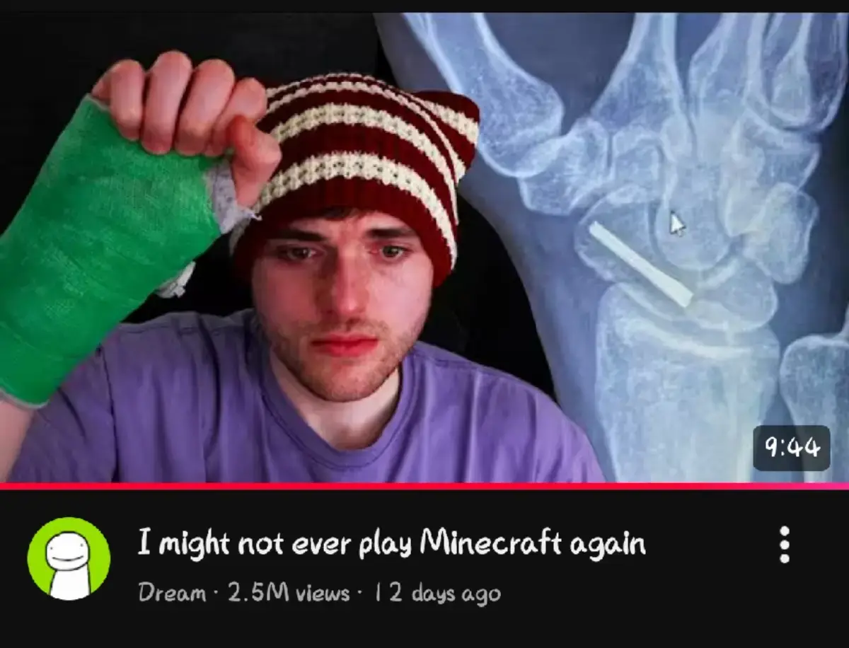 The 2 legend was retirement #fyp #Minecraft #technoblade #dream #gaming 