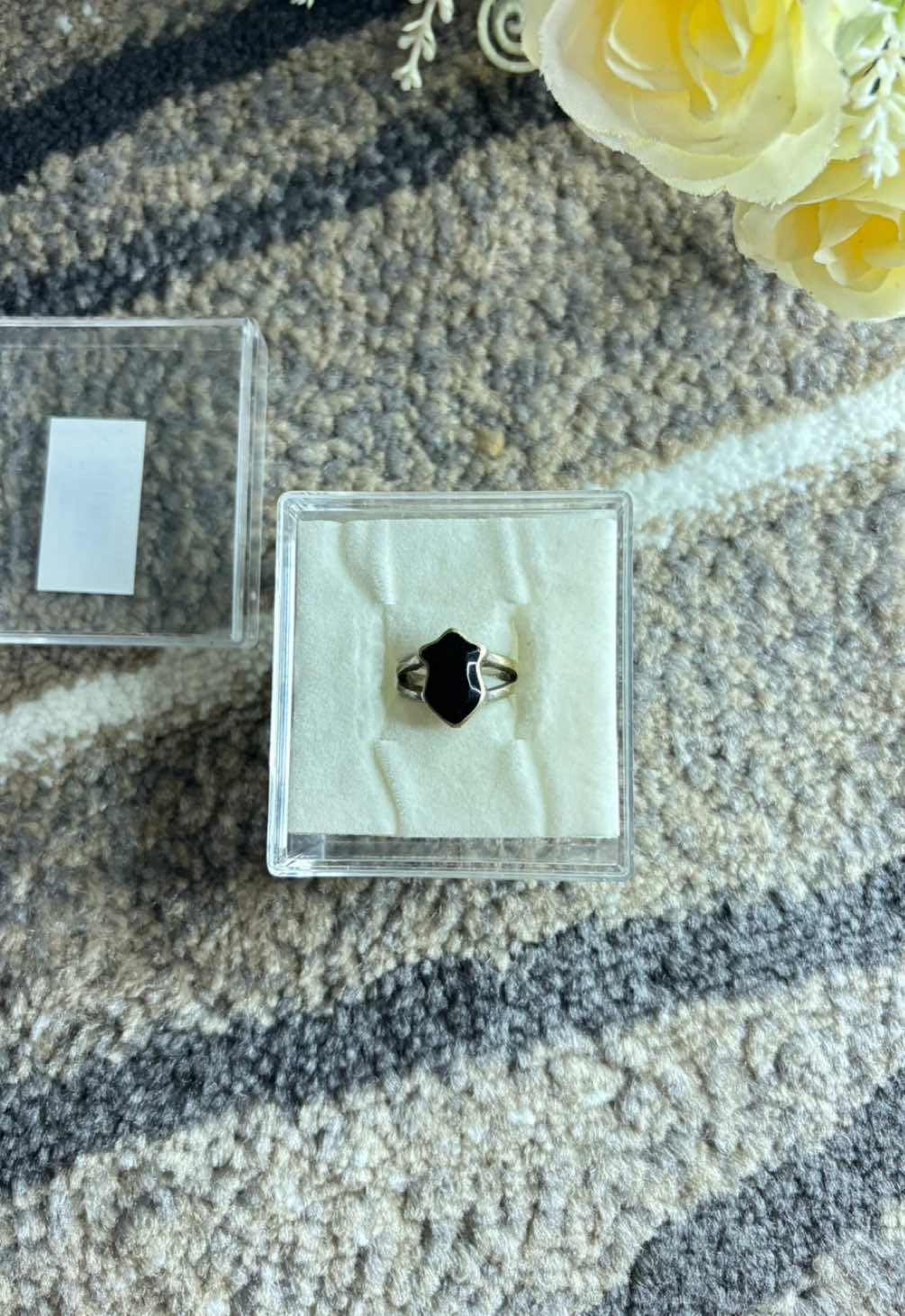 #cincinterompah #cincintarim 