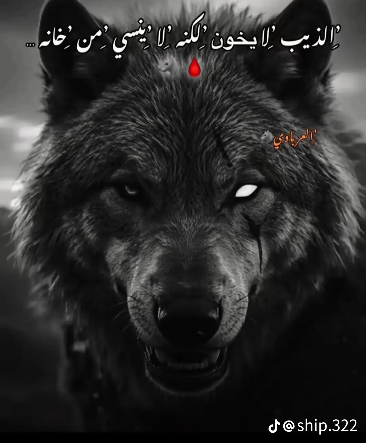 #اسم البرنامج الي يظلل العين ابيض#🦅سفينه_البلد🦅