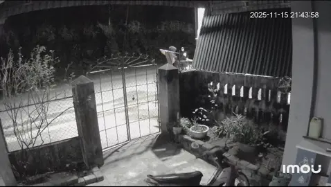 20 úp 1 mà còn chạy lạy bố!