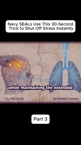 #vagusnerve #StressRelief #navysealmethod 