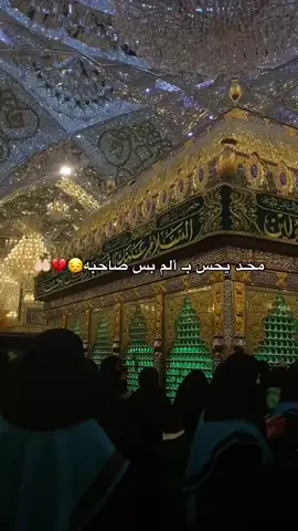 #يابوفاضل_ضاكت_وتفرجها_اريد 