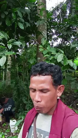 kerja tiap hari #komedihiburan #🤣🤣 #fyppppppppppppppppppppppp 