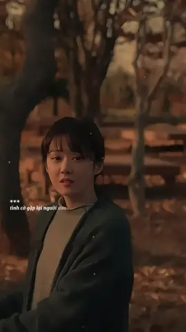 Gặp lại người xưa thì sẽ thế nào ...#nhachaymoingay #tiktokgiaitri #tamtrang #nhaccamxuc #tungchonhau 