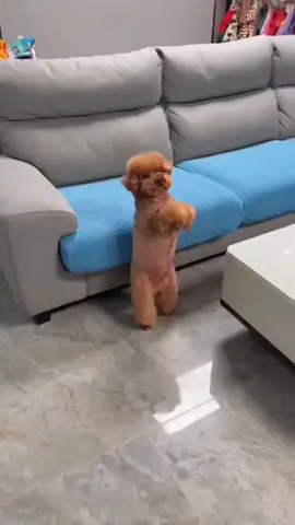 sao lại giận nữa rùi 