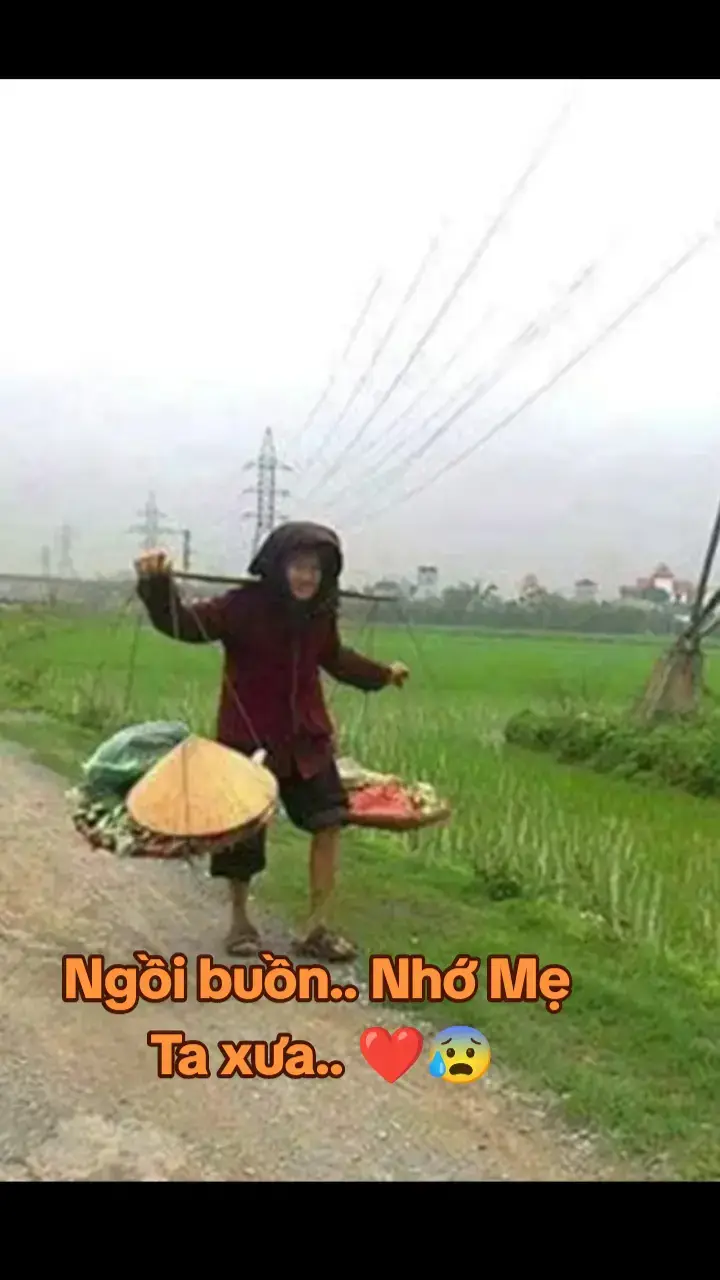 #nhachaymoingay  #❤️❤️❤️ 