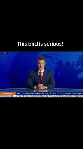 Better eat chicken this year! #dadsoftiktok #dadssupportdads #dudessupportingdudes #chicken #chickensoftiktok 