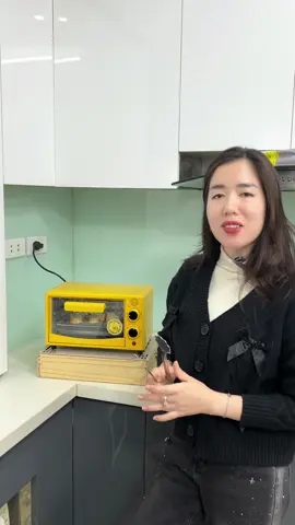 Lò nướng điện #lonuongmini #lonuongdien #lonuong #lonuongbanh #hangrucro🌞 