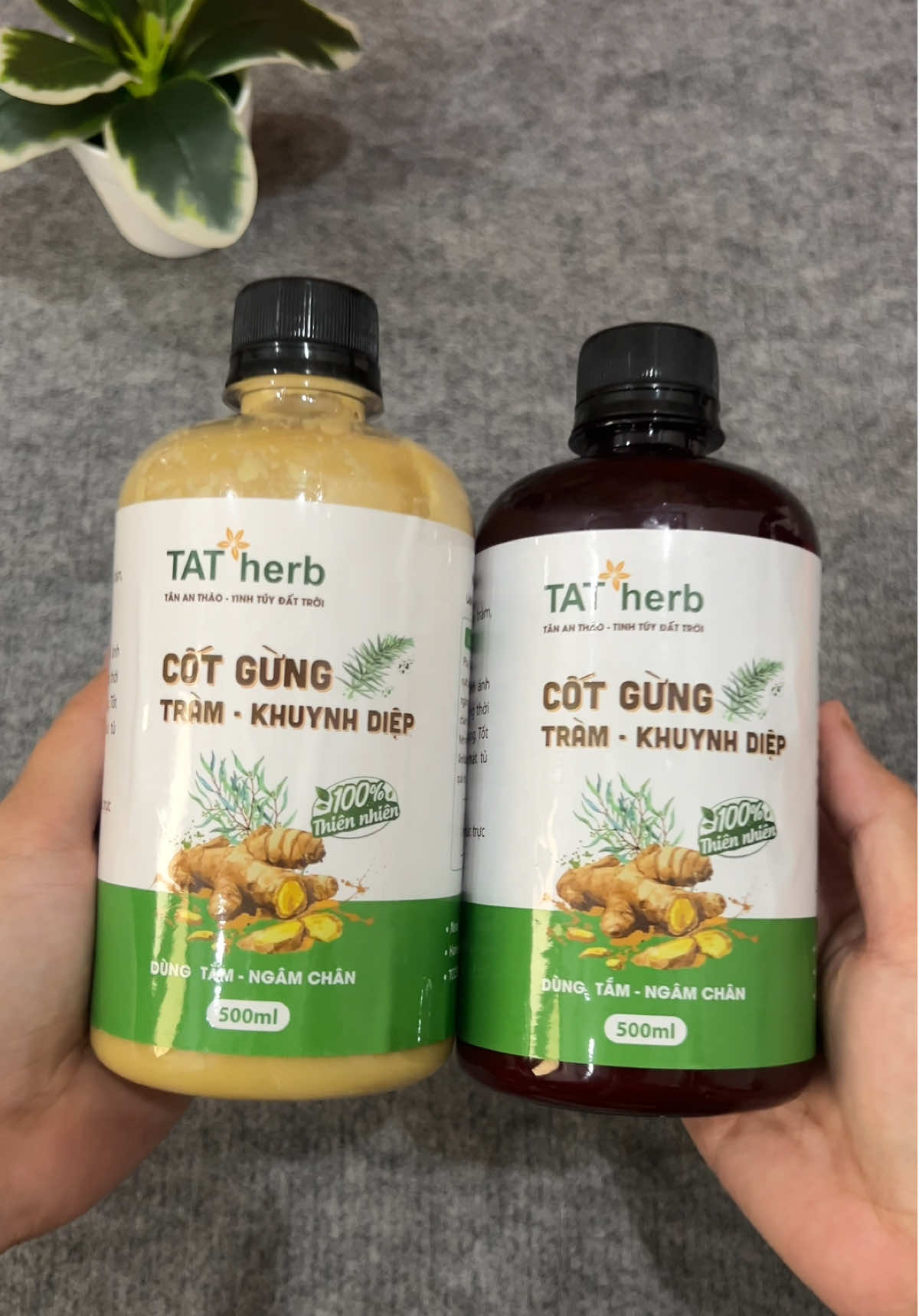 Thời tiết giao mùa các mẹ cứ phòng e này trong nhà nha #cotgung #cotgungtramkhuynhdiep #cotgungtram #xuhuong #tranghatay96 