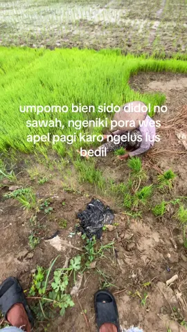 ☕️#janganlupabersyukur#petanisukses#promomakan1010#ojingtogether 