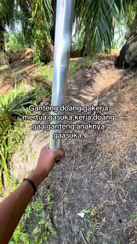 jadi harus bagaimana ini cees.#masukberanda #xyzbca #kulisawit #foryou #viral 