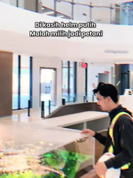 Ketika rasa penasaran lebih besar dari rasa takut 🔥🐉 #petanimuda #petaniindonesia🇮🇩🇮🇩🇮🇩🌿🌿 #petanicabe #fyp #indonesia🇮🇩 