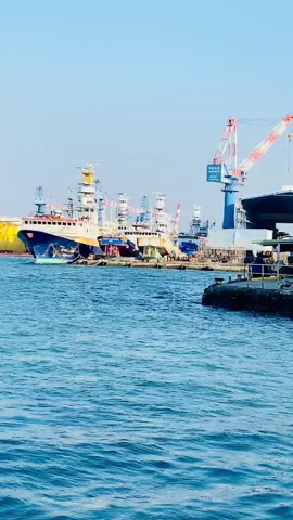 Nếu sau này bạn rời đài loan ... Điều bạn tiếc nhất là gì ? #caohungđàiloan🇹🇼 #viralvideo 