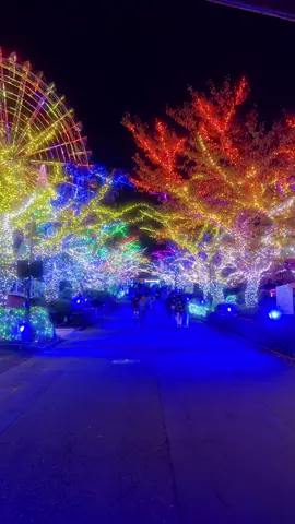 まるで宝石の輝き？！💎 個人的に東京のイルミネーションでここが1番おすすめ イルミネーションもアトラクションも満喫して楽しんじゃいましょうー🎄 #東京 #イルミネーション  #デート  #よみうりランド 