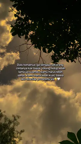 Sehat sllu suami🥹🫶🏻 #fyp #katakata #suamiistri #bollywoodsong #fyppppppppppppppppppppppp 