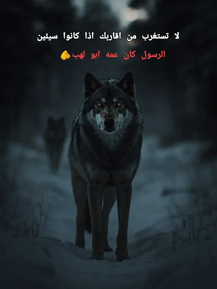 #اقتباسات_عبارات_خواطر🖤🦋🥀 