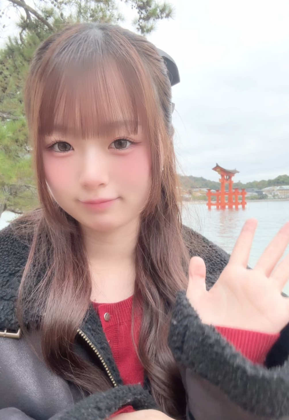 3年ぶりの宮島🦌⛩ #広島 #宮島  #sweet16委員会オーディション  #10 #ljc  @sweet16委員会  メンション全部見にいきます！ 【sweet16委員会に推しが選ばれますように】 というハッシュタグをつけてあいなに関する投稿をして頂けたら嬉しいです☺︎