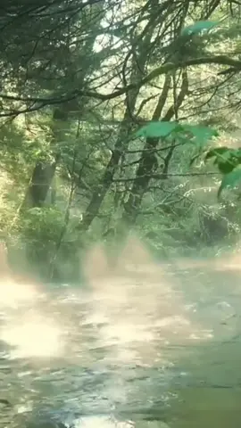 Người bị mắt mờ không nhìn rõ nhất định phải xem xong video này!jmz