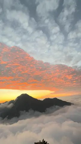 #pelawangan #sembalun  #gunungrinjani3762mdpl #mountain #Hiking 