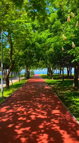 الا بذكر #الله تطمئن #القلوب  Only in the remembrance of allah can the heart find peace #