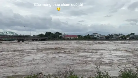 Thương lắm ninh thuận quê tôiiii 😢😢😢 #bãolụtmiềntrung #85ninhthuan #thuonglammientrung #cầumóng 