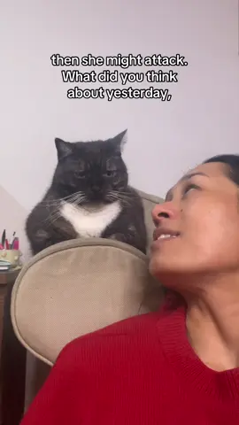 #cattok #catsoftiktok #catthings #grumpycat #rescuecat 