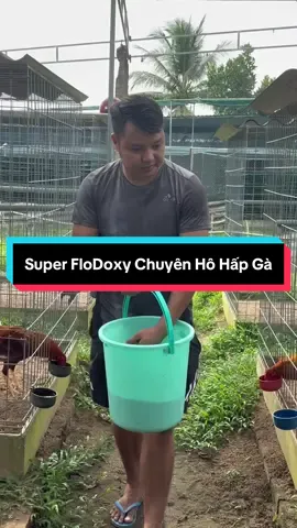 Trả lời @Vizzle Phong Super Flodoxy Chai 20ml Chuyen Cac Benh Hô Hấp Ở Gà. #thuocgalamthanhhon #traigalamthanhhon 