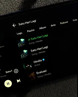 #liriklagu #satuharilagi #spotify #fyp 