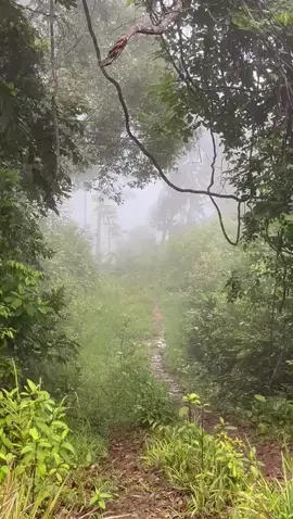 Terlihat menakutkan tapi ini membuat tenang#puncaktangkenoea #fyp #Bombana 