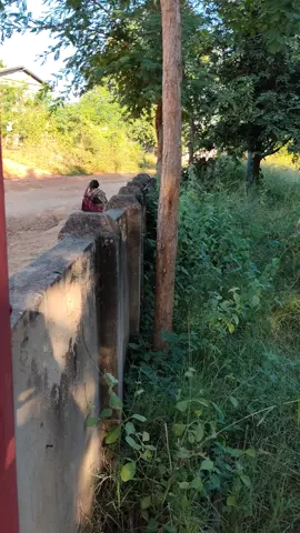 မေဇံငြိမ်း ရဲ့ ဇာတ်ထုပ်  တစ်ပုဒ် ဆိုတောက်ဆိုခဲး