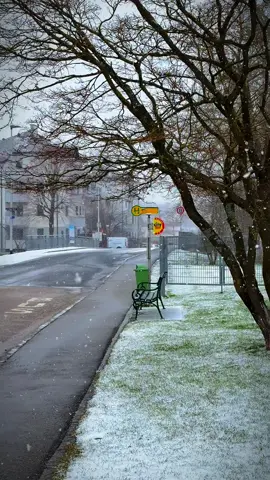 #شتاء_البرد_اجواء_شتويه 🩵 #viral ^#لايك 