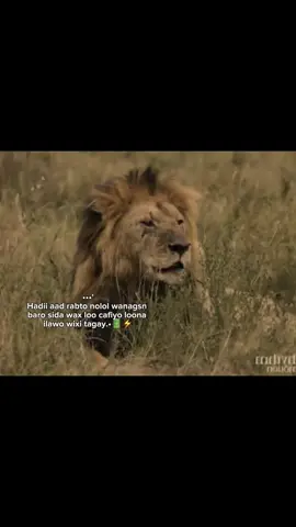 🤍⚡ #videoviral #Z4ck..15