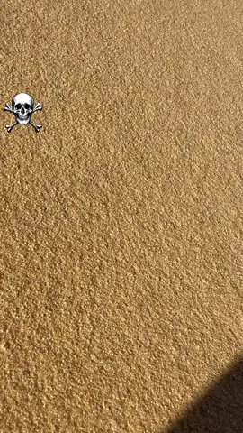 #شعب_الصيني_ماله_حل😂😂 #TUNDRA 