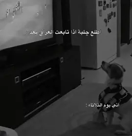 لا اراديي😂💔، . . . . . . . . . . . . . . #العراق #العراق🇮🇶 #ميسي🇦🇷 #بيدري #ميسي_افضل_لاعب_بالتاريخ_🇦🇷🎶 #ميسي #بيدري👑🇪🇸 #اسبانيا #fcbarcelona #برشلونة_اكثر_من_مجرد_نادي❤💙 #برشلونه_عشق_لا_ينتهي💞🔱🏅 #برشلونة_العشق #ريال_مدريد #العراق #fcb #برشلونه #لامين_يامال_لاعب_برشلونة #فليك #لامين #messi #لامين_يامال 