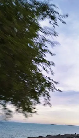 #CapCut pret 🤪😝