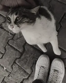 🖤…….#foryou #6 