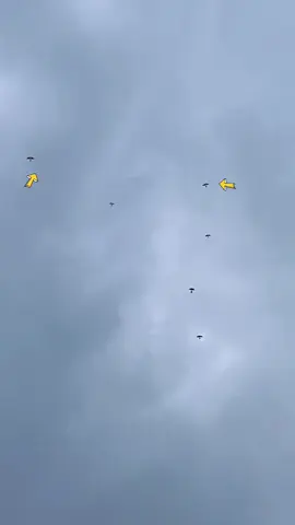 #fypppppppppppppyppfy  #super nah 🔥🔥🤣🤣#@haqi💢💢💢 @Begron07 #capcut lyang tuna