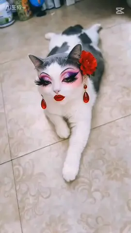 #সবাই_একটু_সাপোর্ট_করবেন_প্লিজ🙏 #duet 