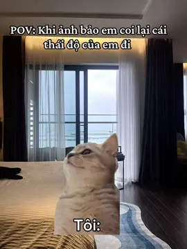 Em soi gương zồi ạaa #meme #memes #chillhomestayhalong #sapphirehalong #fyp 