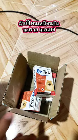 ฉันก็โดนเหมือนกัน นะพวกเมอเหอ#เห็บหมัด #เห็บหมัดหมา #เห็บหมัดสัตว์เลี้ยง #เห็บ 