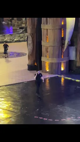 momen ketika ada dc baru tapi belum hafal, ya gini ngapalin dulu dimana pun 😅