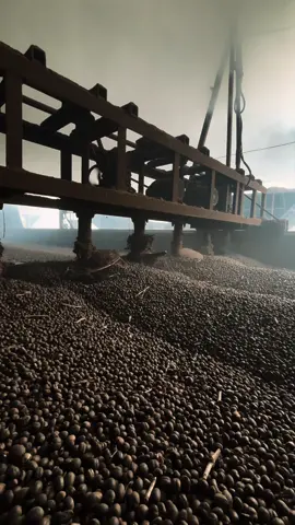 Hoàn thành nhiệm vụ rồi, về điểm bảo dưỡng thôi em 🤪#loxaycafe #xuhuong #cafe 